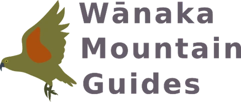 Wānaka Mountain Guides